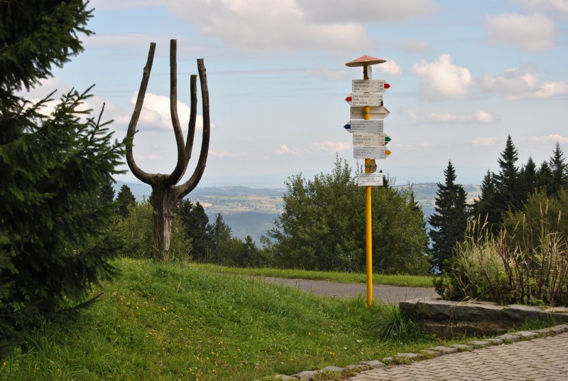 pepajs.cz